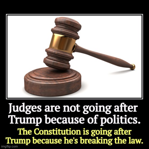 Conservatives used to talk about the Constitution all the time. Not so much these days. | Judges are not going after 
Trump because of politics. | The Constitution is going after Trump because he's breaking the law. | image tagged in funny,demotivationals,trump,crime,criminal,constitution | made w/ Imgflip demotivational maker