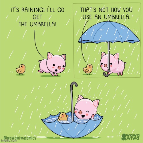 image tagged in pig,chick,rain,umbrella,water,swimming pool | made w/ Imgflip meme maker