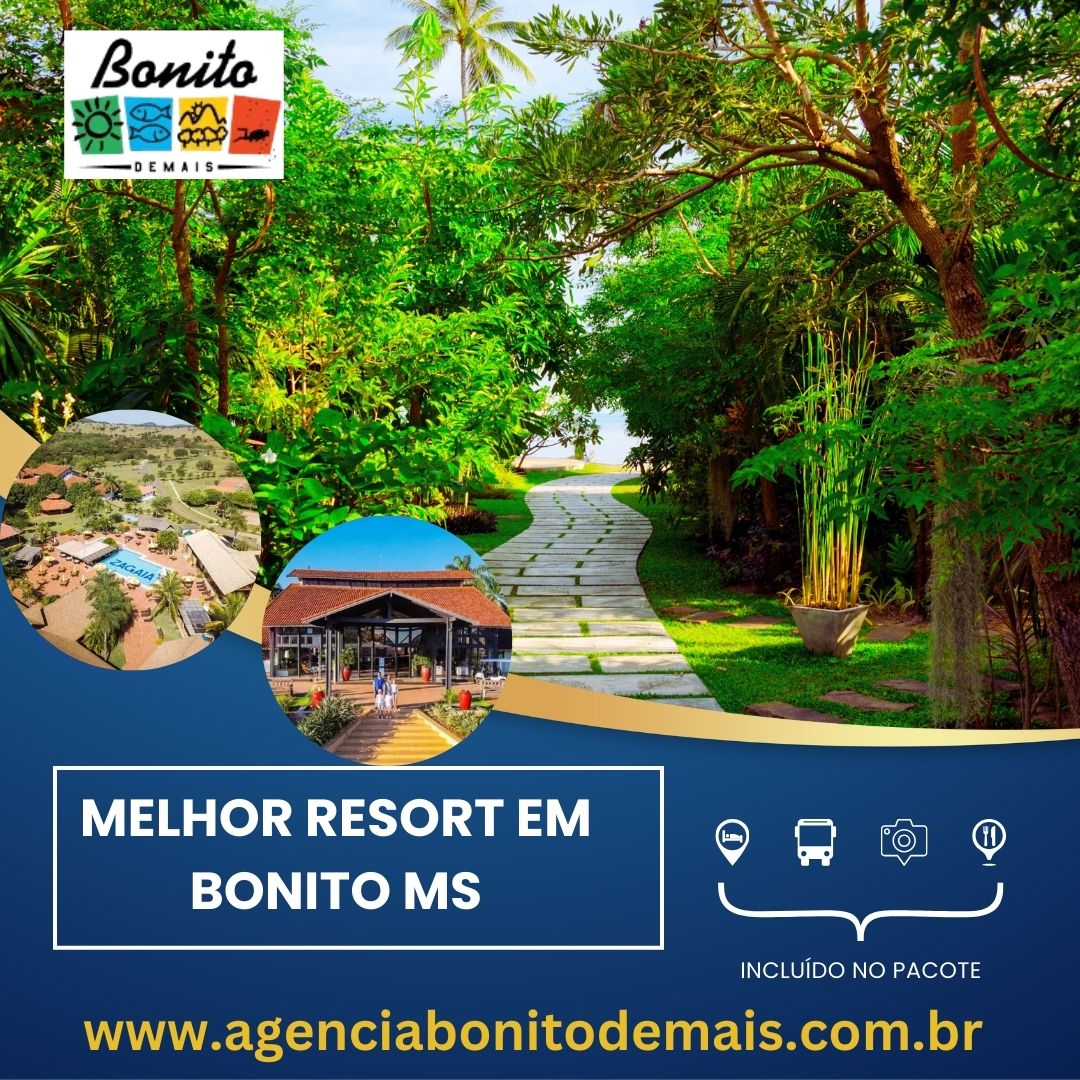 Melhor Resort Em Bonito MS Blank Meme Template