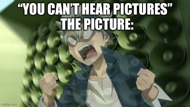 Black Clover Asta screaming 2 | “YOU CAN’T HEAR PICTURES”; THE PICTURE: | image tagged in black clover asta screaming 2 | made w/ Imgflip meme maker