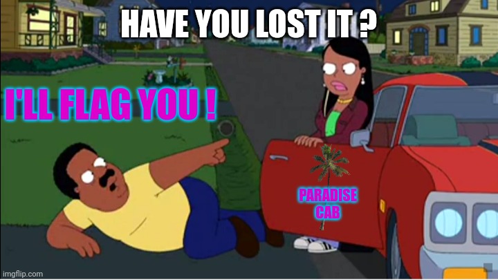 HAVE YOU LOST IT ? PARADISE CAB I'LL FLAG YOU ! | made w/ Imgflip meme maker