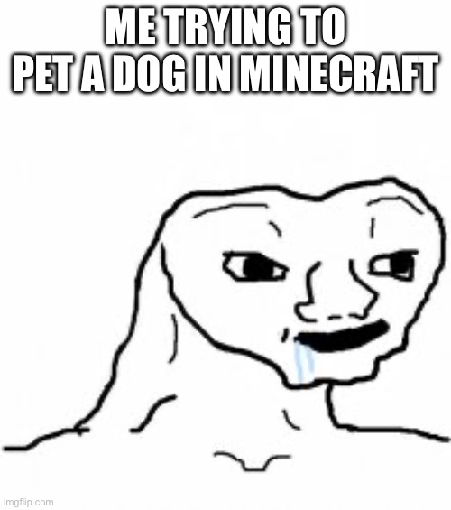 Dumb guy | ME TRYING TO PET A DOG IN MINECRAFT | image tagged in dumb guy | made w/ Imgflip meme maker