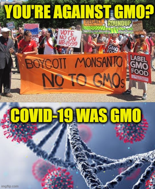 Genetically Modified Organism | YOU'RE AGAINST GMO? COVID-19 WAS GMO | image tagged in gmo | made w/ Imgflip meme maker