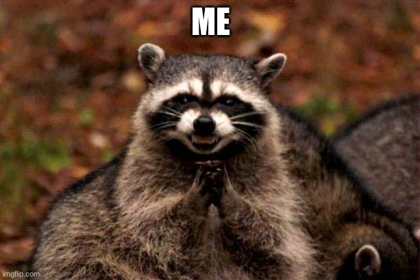 Evil Plotting Raccoon Meme | ME | image tagged in memes,evil plotting raccoon | made w/ Imgflip meme maker