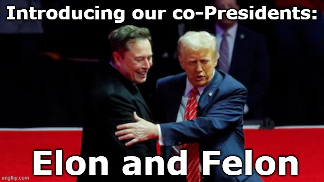 Co-Presidents | Introducing our co-Presidents:; Elon and Felon | image tagged in maga,right wing,fascists,republicans,elon musk,donald trump memes | made w/ Imgflip meme maker