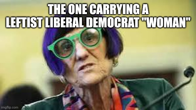 THE ONE CARRYING A LEFTIST LIBERAL DEMOCRAT "WOMAN" | made w/ Imgflip meme maker