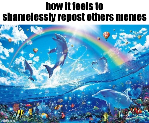 Happy dolphin rainbow | how it feels to shamelessly repost others memes | image tagged in happy dolphin rainbow | made w/ Imgflip meme maker