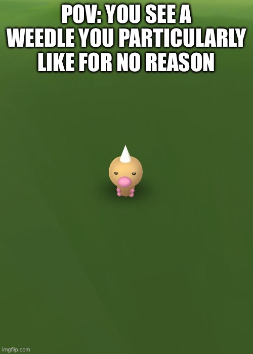 Weedle of Shame | POV: YOU SEE A WEEDLE YOU PARTICULARLY LIKE FOR NO REASON | image tagged in weedle of shame | made w/ Imgflip meme maker