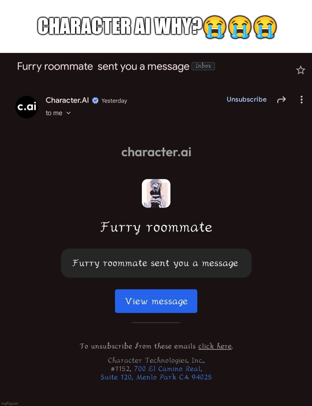 Not my email ?? | CHARACTER AI WHY?😭😭😭 | image tagged in furry,furry memes,femboy,memes,funny memes,funny | made w/ Imgflip meme maker