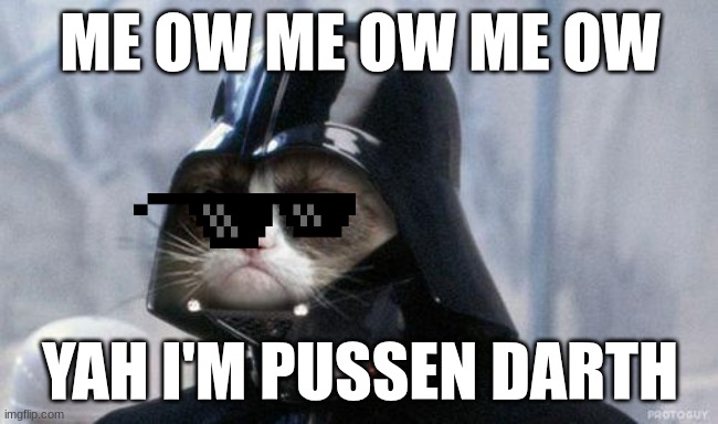 pussen darth | ME OW ME OW ME OW; YAH I'M PUSSEN DARTH | image tagged in memes,grumpy cat star wars,grumpy cat | made w/ Imgflip meme maker