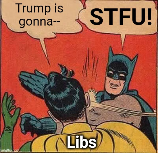 Reasonable people slapping libs | Trump is
gonna--; STFU! Libs | image tagged in memes,batman slapping robin,trump derangement syndrome,democrats,insanity,constitutional crisis | made w/ Imgflip meme maker