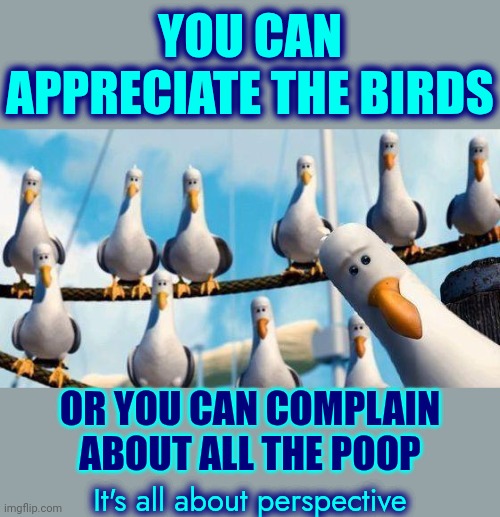 I LOVE Birds! | YOU CAN APPRECIATE THE BIRDS; OR YOU CAN COMPLAIN ABOUT ALL THE POOP; It's all about perspective | image tagged in nemo birds,perspective,positive thinking,negativity,don't worry be happy,memes | made w/ Imgflip meme maker