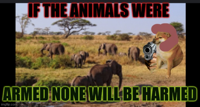 IF THE ANIMALS WERE; ARMED NONE WILL BE HARMED | image tagged in nice | made w/ Imgflip meme maker