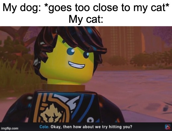 Cole how about we try hitting you | My dog: *goes too close to my cat*
My cat: | image tagged in cole how about we try hitting you,cat,cats,dog,dogs,relatable | made w/ Imgflip meme maker