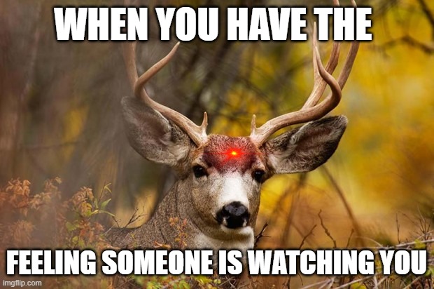 deer meme | WHEN YOU HAVE THE; FEELING SOMEONE IS WATCHING YOU | image tagged in deer meme | made w/ Imgflip meme maker