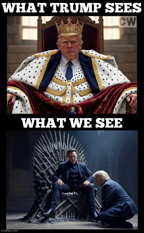 Always a beta | image tagged in donald trump,trump,elon musk,nevertrump,nevertrump meme,maga | made w/ Imgflip meme maker