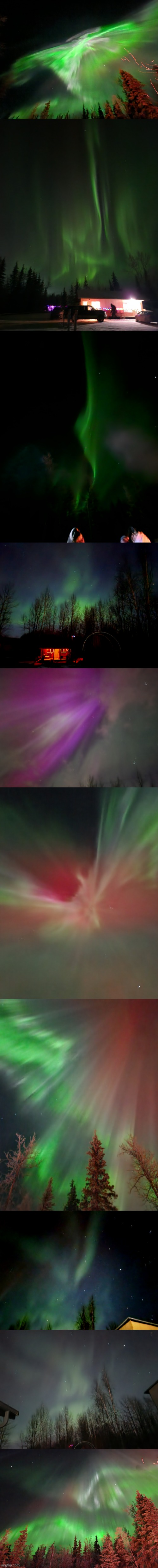 A compilation of the Aurora pictures I took this winter | made w/ Imgflip meme maker