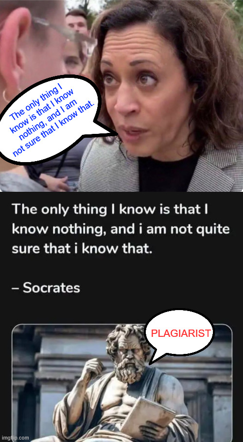 The only thing I know is that I know nothing, and I am not sure that I know that. PLAGIARIST | made w/ Imgflip meme maker