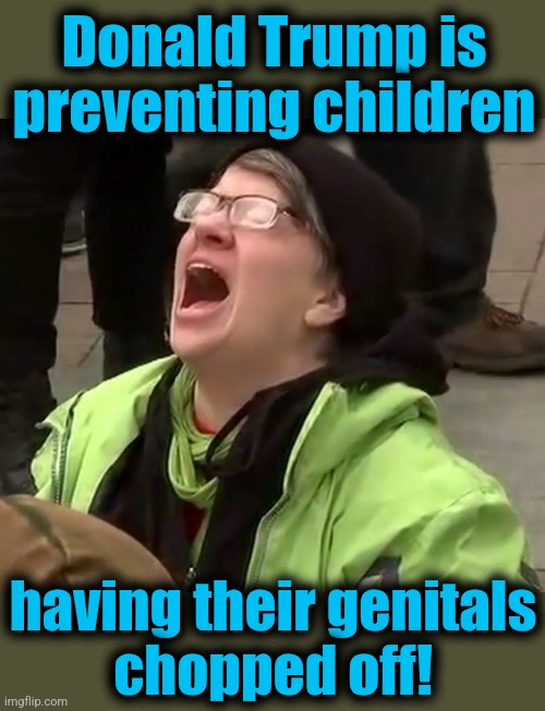 Trump's "attack": the ritual sexual mutilation of children is no longer an imperative of the federal government | Donald Trump is preventing children; having their genitals
chopped off! | image tagged in crying liberal,memes,ritual sexual mutilation of children,democrats,transgender,affirmation surgery | made w/ Imgflip meme maker