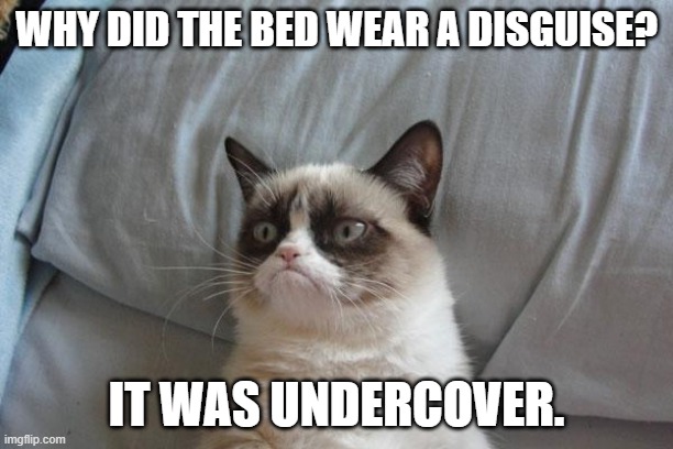 Daily Bad Dad Joke February 13, 2025 | WHY DID THE BED WEAR A DISGUISE? IT WAS UNDERCOVER. | image tagged in memes,grumpy cat bed,grumpy cat | made w/ Imgflip meme maker