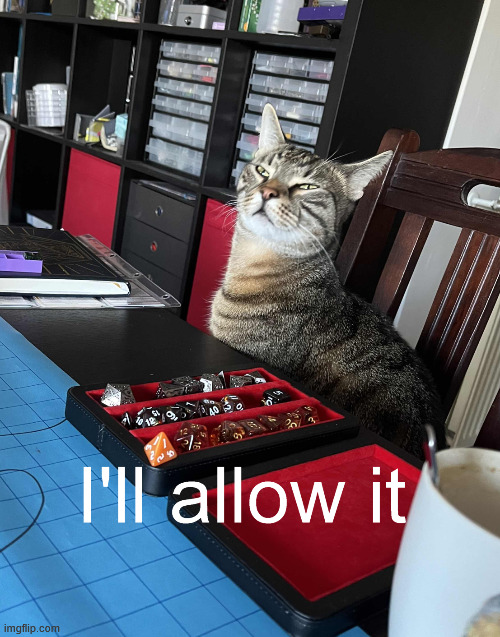 Dungeon Master Cat | image tagged in dungeon master cat | made w/ Imgflip meme maker