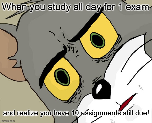 Unsettled Tom Meme | When you study all day for 1 exam; and realize you have 10 assignments still due! | image tagged in memes,unsettled tom | made w/ Imgflip meme maker