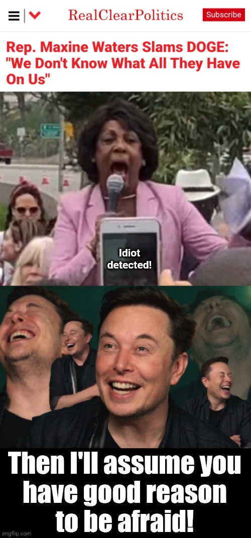 What's she hiding? | Idiot
detected! Then I'll assume you
have good reason
to be afraid! | image tagged in maxine waters,elon musk laughing,memes,doge,democrats,corruption | made w/ Imgflip meme maker