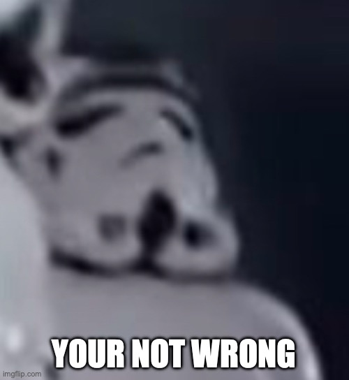 YOUR NOT WRONG | made w/ Imgflip meme maker