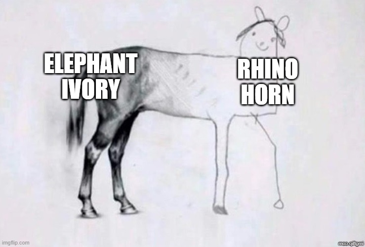 Both are illegal | ELEPHANT IVORY; RHINO HORN | image tagged in horse drawing | made w/ Imgflip meme maker