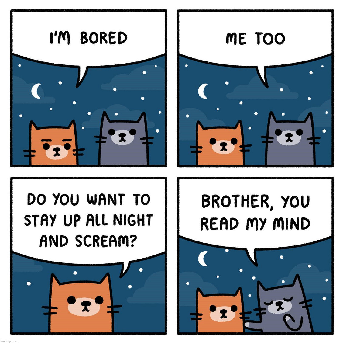 Cats doing cat things | image tagged in comics/cartoons | made w/ Imgflip meme maker