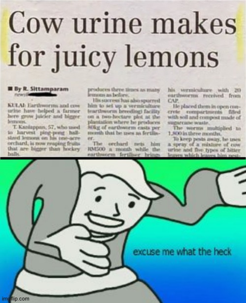 Lemons? | image tagged in excuse me what the heck | made w/ Imgflip meme maker