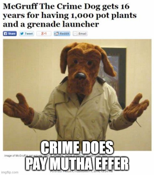 Crime Pays | CRIME DOES PAY MUTHA EFFER | image tagged in headlines | made w/ Imgflip meme maker