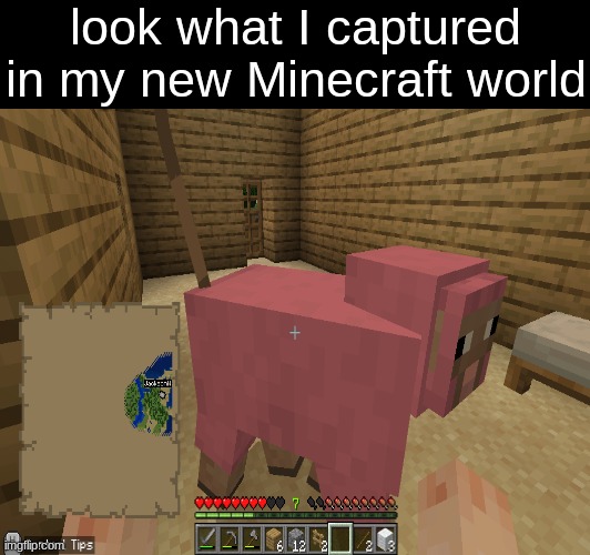 pink sheep | look what I captured in my new Minecraft world | image tagged in memes,mincraft,pink sheep | made w/ Imgflip meme maker