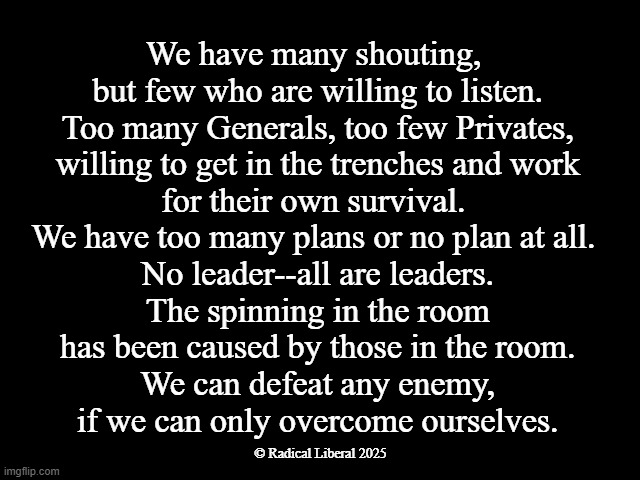 Dichotomy of Resistance | We have many shouting,
 but few who are willing to listen.
 Too many Generals, too few Privates,
 willing to get in the trenches and work
 for their own survival. 
We have too many plans or no plan at all.
 No leader--all are leaders.
 The spinning in the room
 has been caused by those in the room.
 We can defeat any enemy,
 if we can only overcome ourselves. © Radical Liberal 2025 | image tagged in resistance,overcoming,leaders,plans,fight for survival,america | made w/ Imgflip meme maker