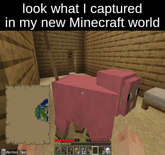 pink sheep | look what I captured in my new Minecraft world | image tagged in memes,happy,pink sheep | made w/ Imgflip meme maker