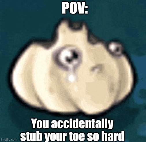 Stubs toe | POV:; You accidentally stub your toe so hard | image tagged in garlic | made w/ Imgflip meme maker