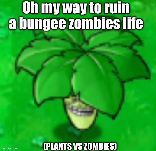 Umbrella hat | Oh my way to ruin a bungee zombies life; (PLANTS VS ZOMBIES) | image tagged in umbrella | made w/ Imgflip meme maker