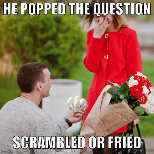 Scrambled or fried | HE POPPED THE QUESTION; SCRAMBLED OR FRIED | image tagged in pop the question,eggs,valentines day,expensive gift | made w/ Imgflip meme maker