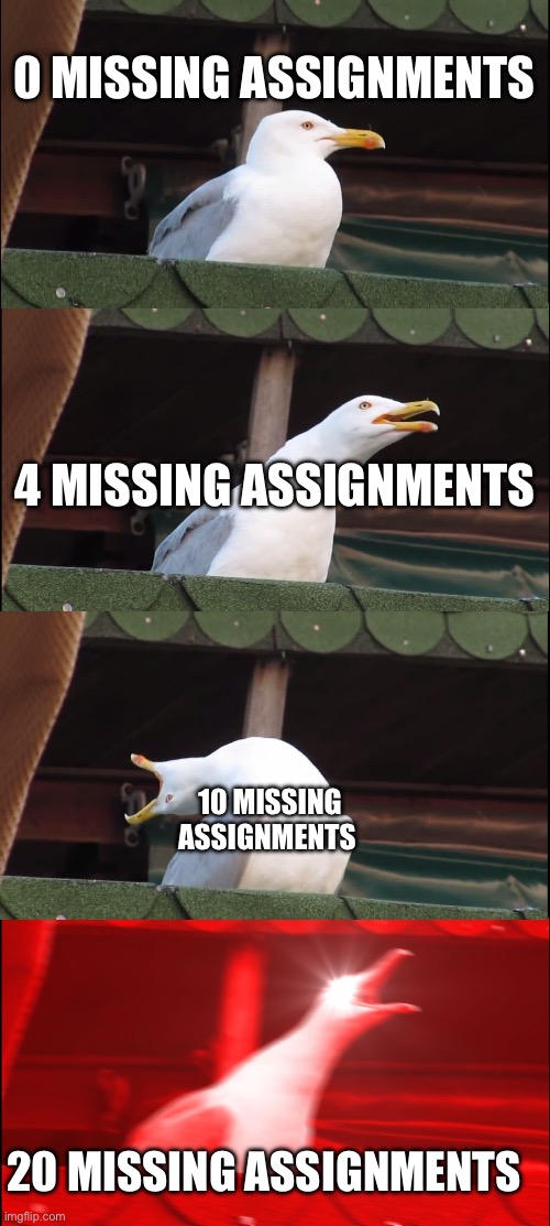 Inhaling Seagull | 0 MISSING ASSIGNMENTS; 4 MISSING ASSIGNMENTS; 10 MISSING ASSIGNMENTS; 20 MISSING ASSIGNMENTS | image tagged in memes,inhaling seagull | made w/ Imgflip meme maker