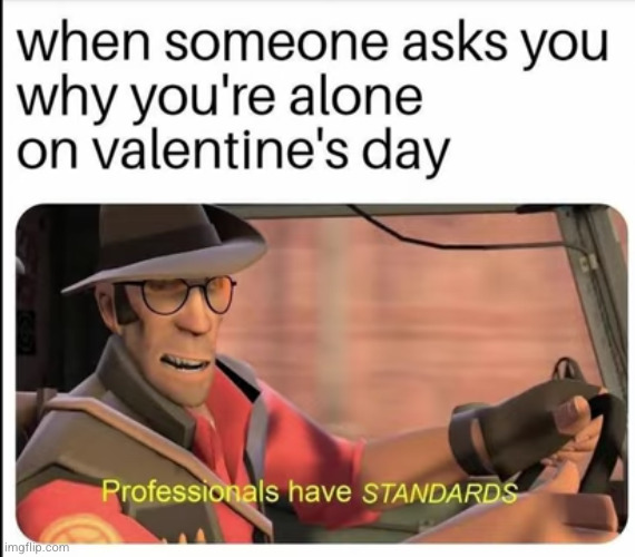 and I am that professional | image tagged in funny,valentine's day,standards,single,relatable,sad | made w/ Imgflip meme maker