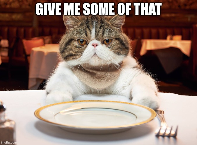 hungry cat | GIVE ME SOME OF THAT | image tagged in hungry cat | made w/ Imgflip meme maker