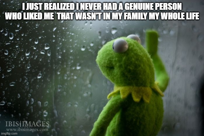 life fuckin sucks rn :/ | I JUST REALIZED I NEVER HAD A GENUINE PERSON WHO LIKED ME  THAT WASN'T IN MY FAMILY MY WHOLE LIFE | image tagged in kermit window | made w/ Imgflip meme maker