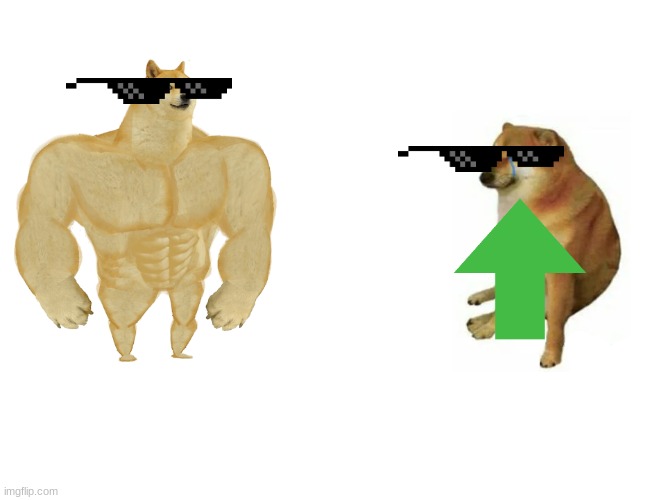 dogs | image tagged in memes,buff doge vs cheems | made w/ Imgflip meme maker