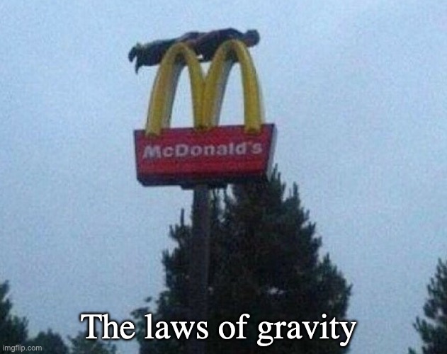 Mcdonald(Note to self: I never had McDonald's before) | The laws of gravity | image tagged in mcdonalds | made w/ Imgflip meme maker