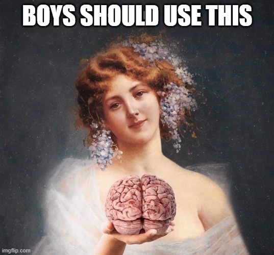 brain | BOYS SHOULD USE THIS | image tagged in brain | made w/ Imgflip meme maker