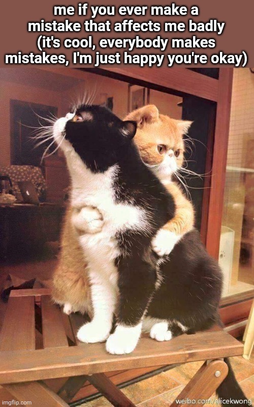 cats hugging | me if you ever make a mistake that affects me badly (it's cool, everybody makes mistakes, I'm just happy you're okay) | image tagged in cats hugging | made w/ Imgflip meme maker