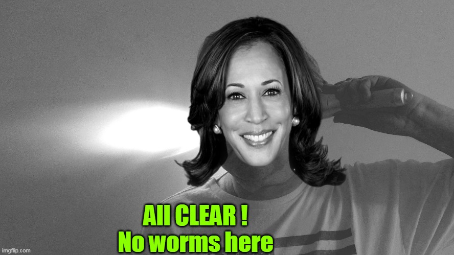 All CLEAR !
No worms here | made w/ Imgflip meme maker