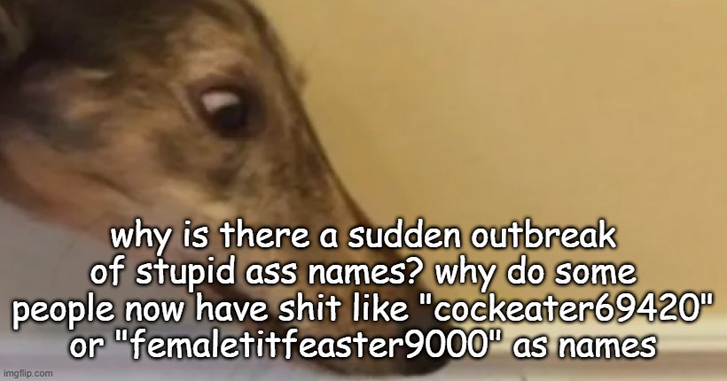 long nose dog | why is there a sudden outbreak of stupid ass names? why do some people now have shit like "cockeater69420" or "femaletitfeaster9000" as names | image tagged in long nose dog | made w/ Imgflip meme maker