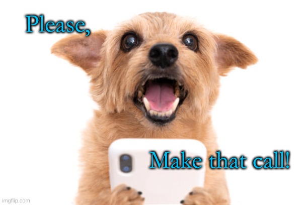 Please Make that call | Please, Make that call! | image tagged in dog,dog with phone,please call | made w/ Imgflip meme maker