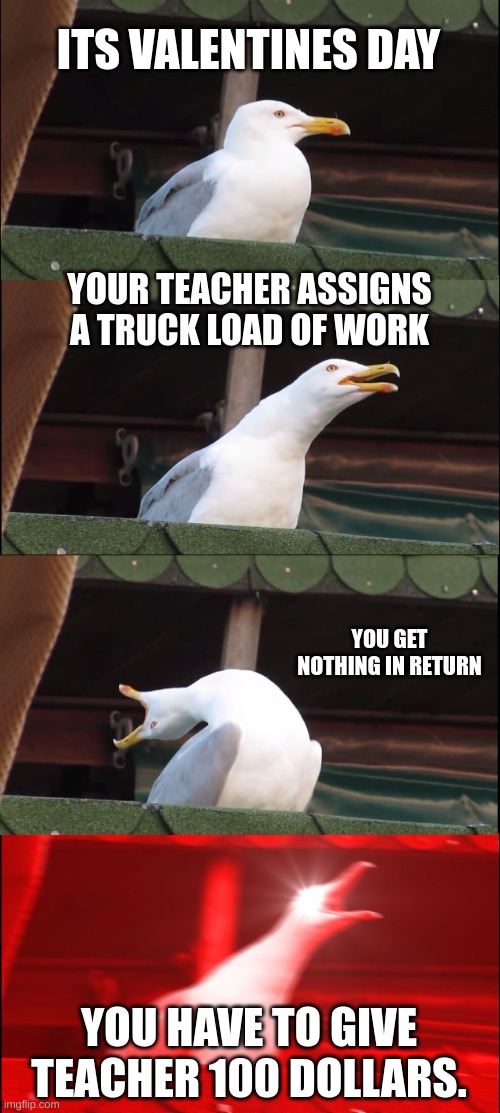 Inhaling Seagull | ITS VALENTINES DAY; YOUR TEACHER ASSIGNS A TRUCK LOAD OF WORK; YOU GET NOTHING IN RETURN; YOU HAVE TO GIVE TEACHER 100 DOLLARS. | image tagged in memes,inhaling seagull | made w/ Imgflip meme maker